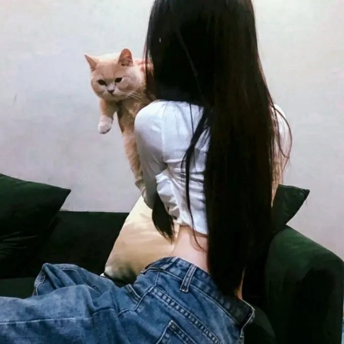 爱情继续